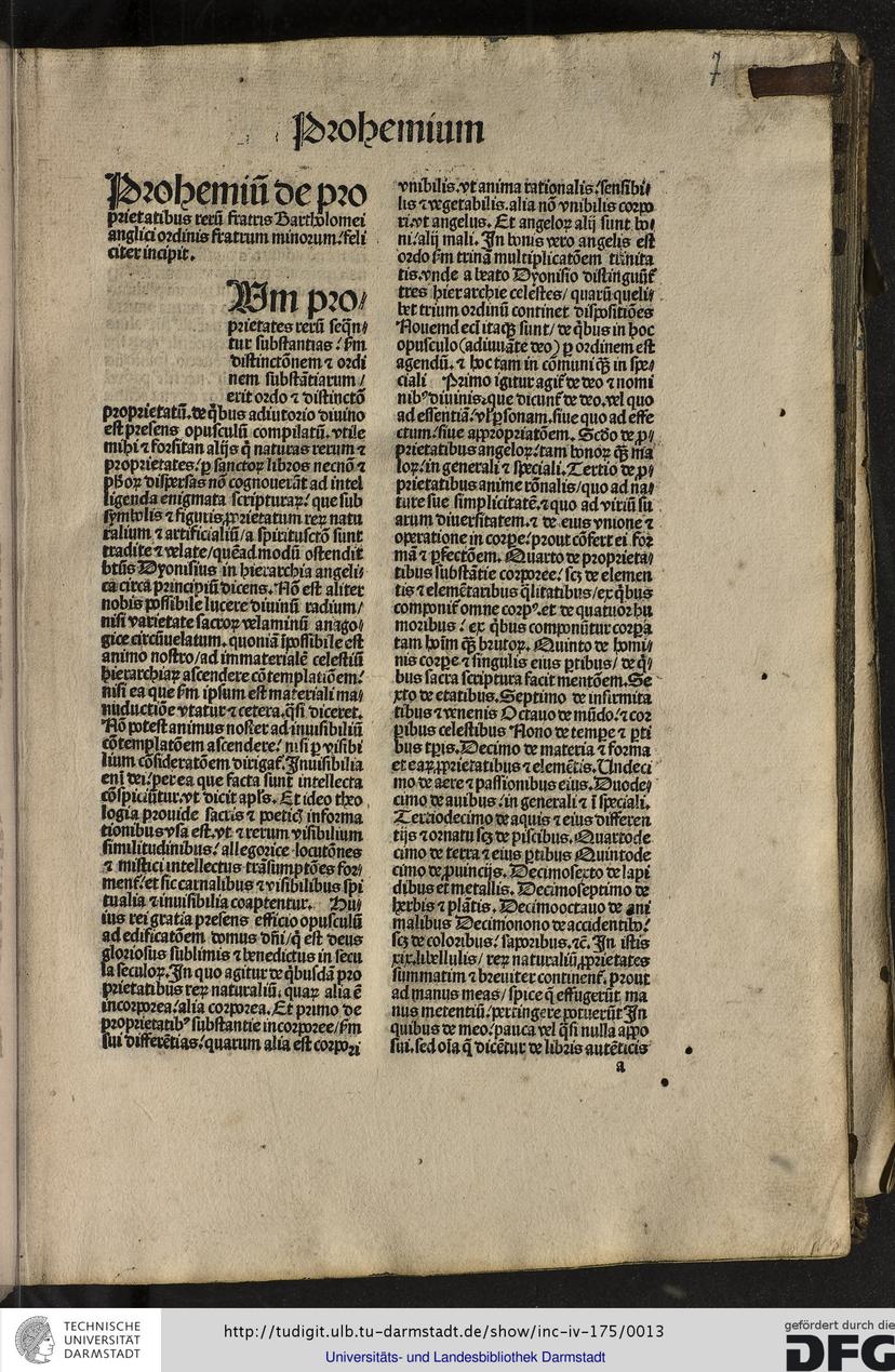 Opening of the prohemium