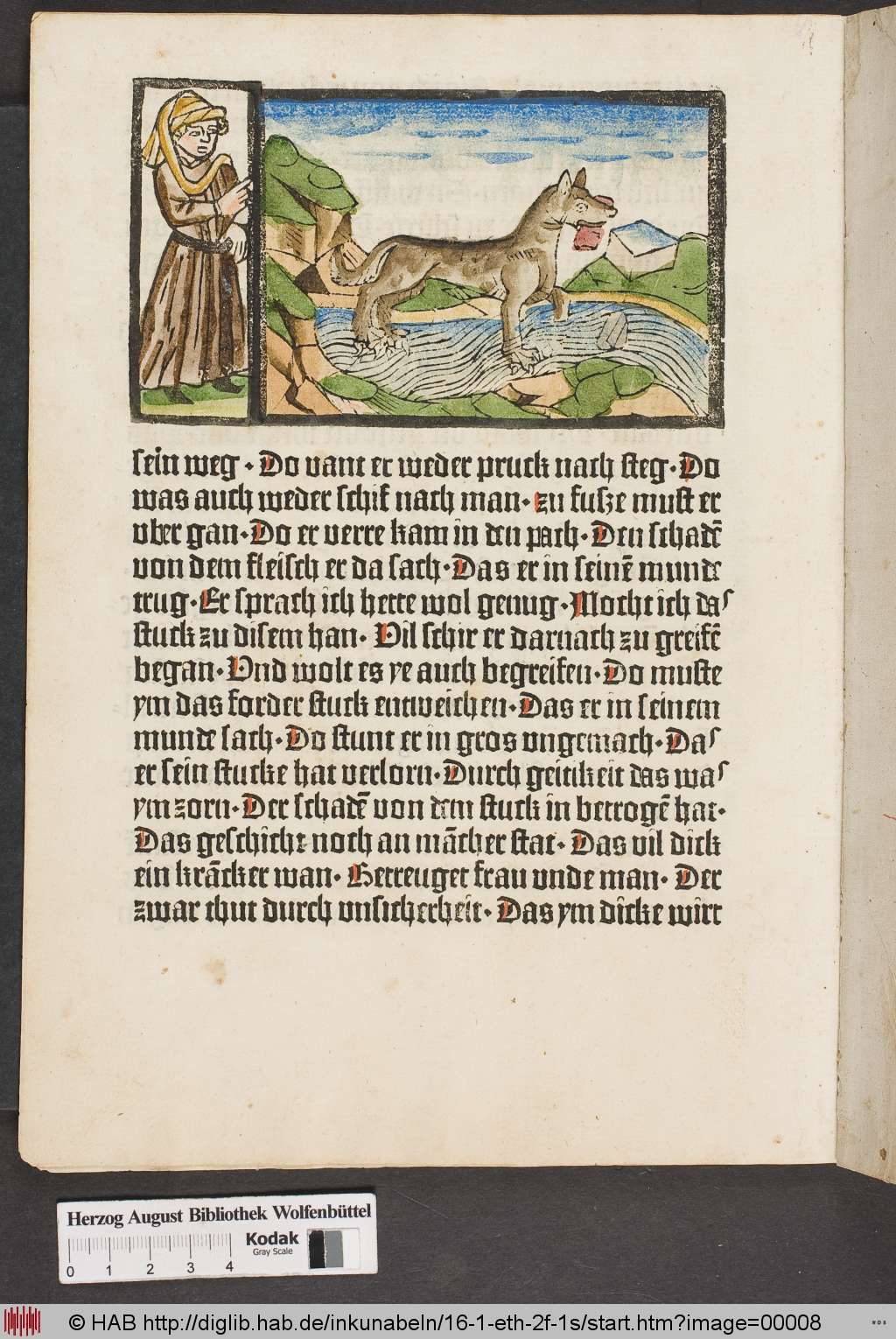 The dog and its reflection