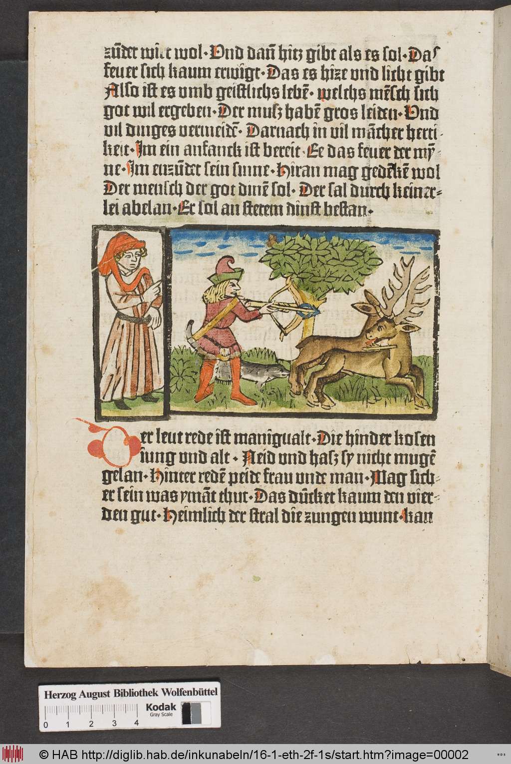 The hunter and the stag
