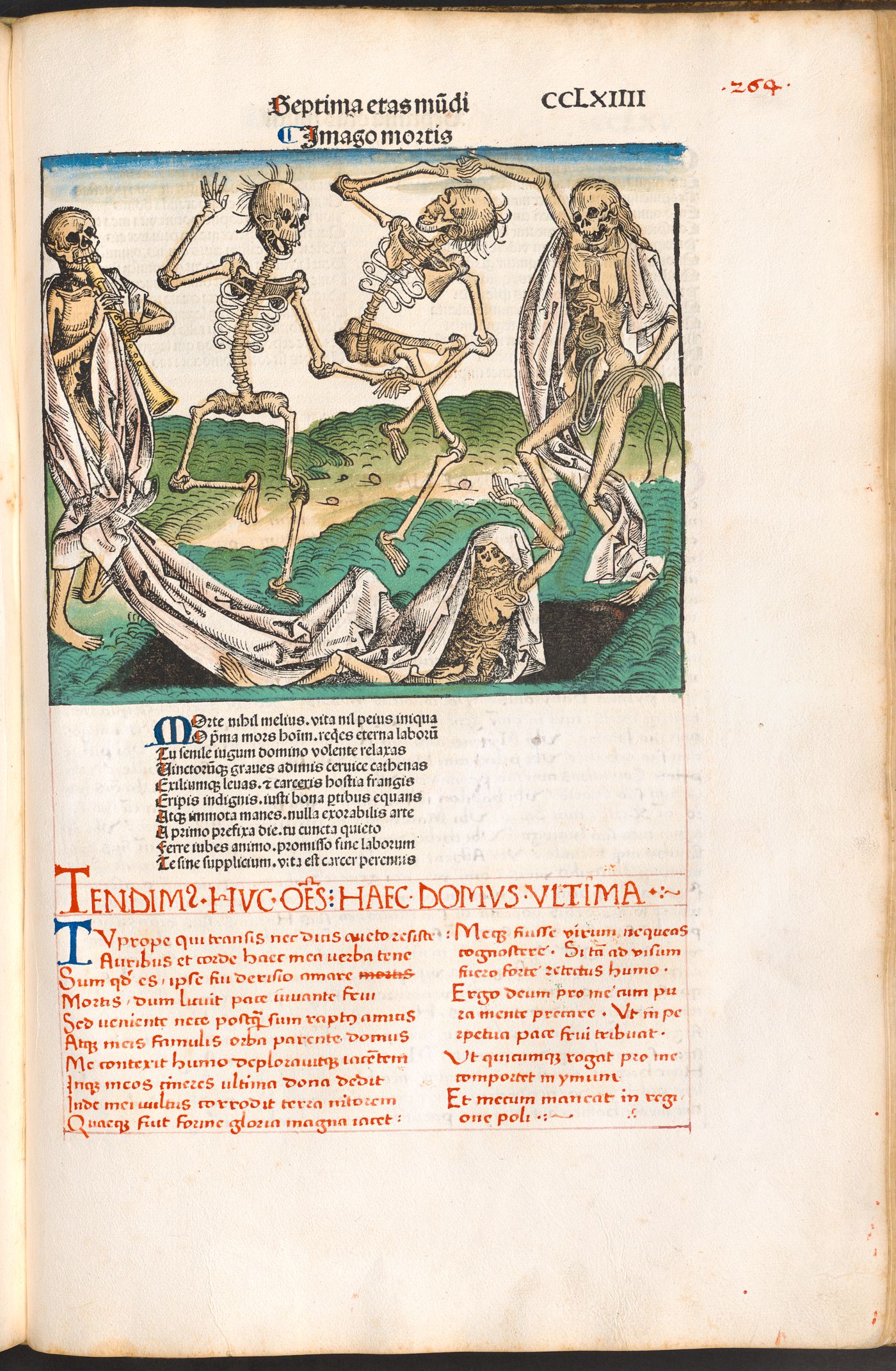 Imago mortis (Dance of Death)