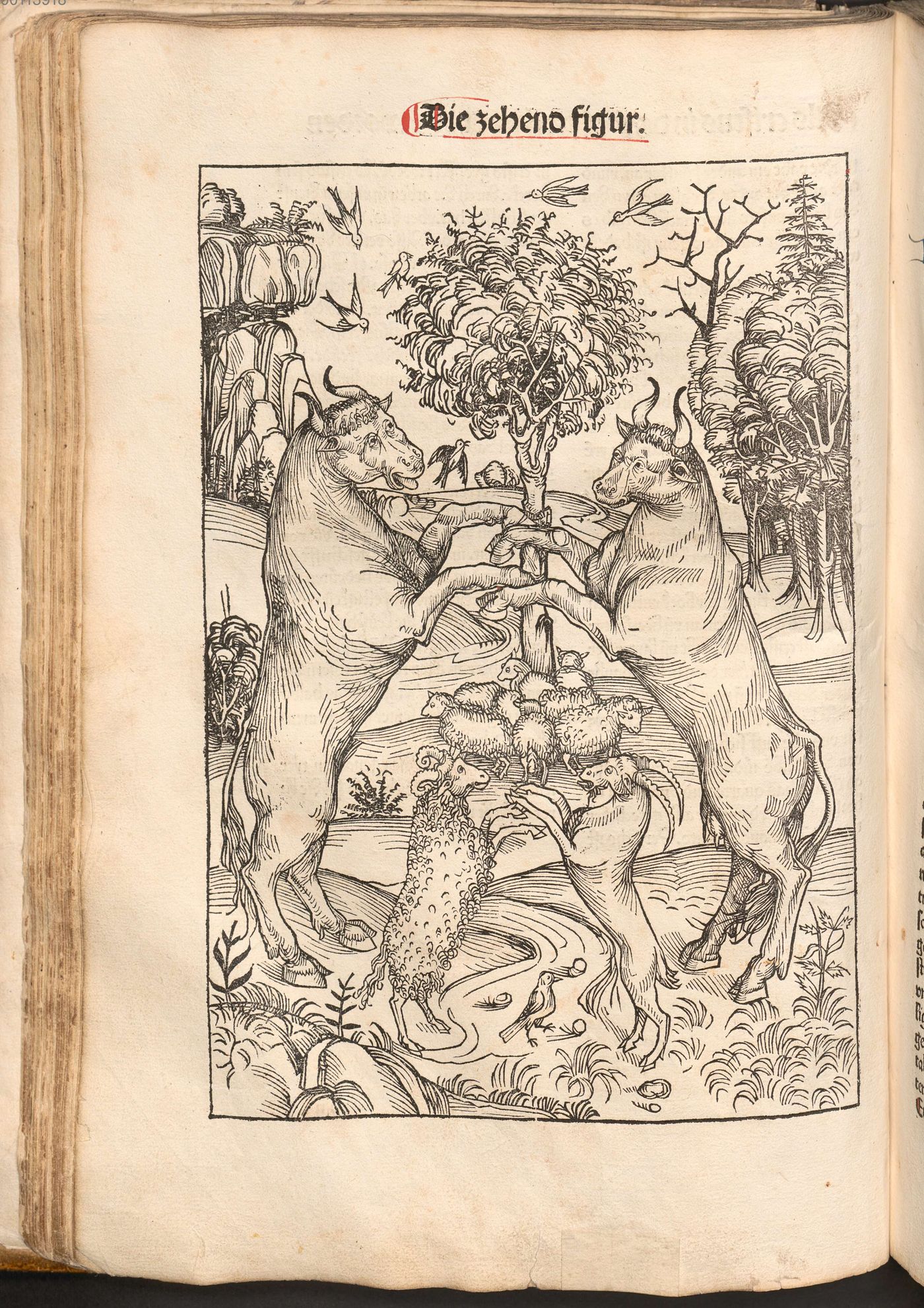Full-page woodcut: the tenth figure